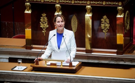 Segolene addresses National Assembly - July 2015 - 460